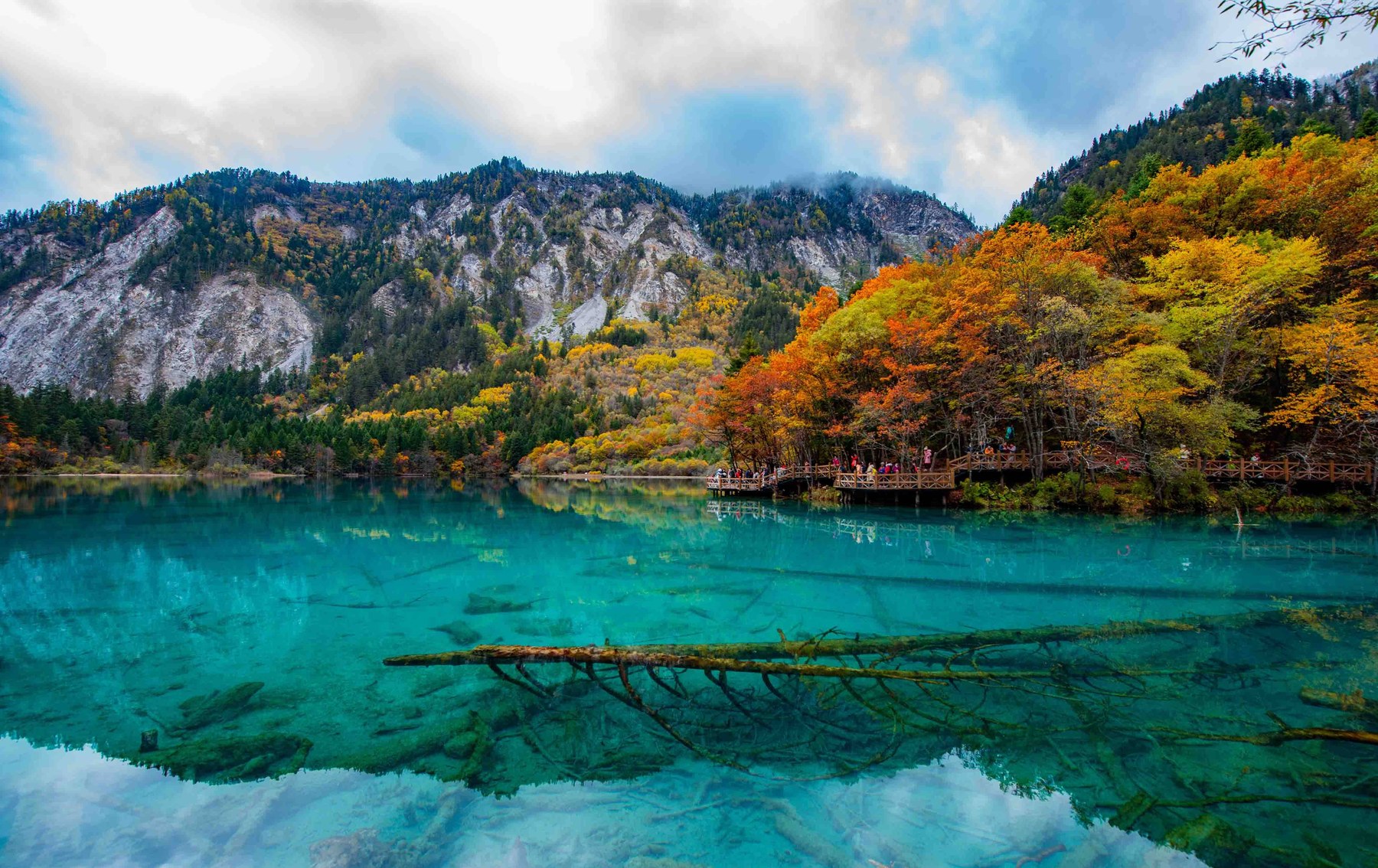 九寨沟秋色海子